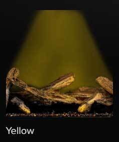 elements-accent-light-yellow.jpg