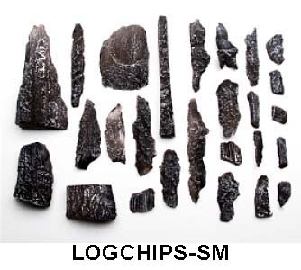 LOGCHIPS-SM