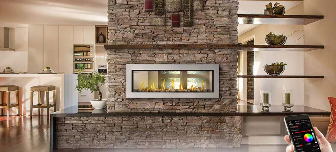 Napoleon Vector™ 50 See Thru Gas Fireplace - LV50N2-2