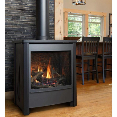 Outdoor Vent Covers >> kingsman FDV451 Free Standing Direct Vent Gas Stove Outdoor Vent Covers >> kingsman FDV451 Free Standing Direct Vent Gas Stove