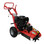 Stump Grinder Briggs and Stratton