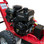 Stump Grinder Briggs and Stratton