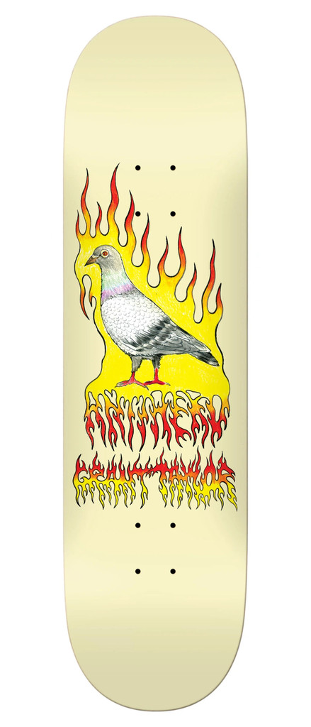 Antihero Taylor Pigeon Vision Deck 8.5" 