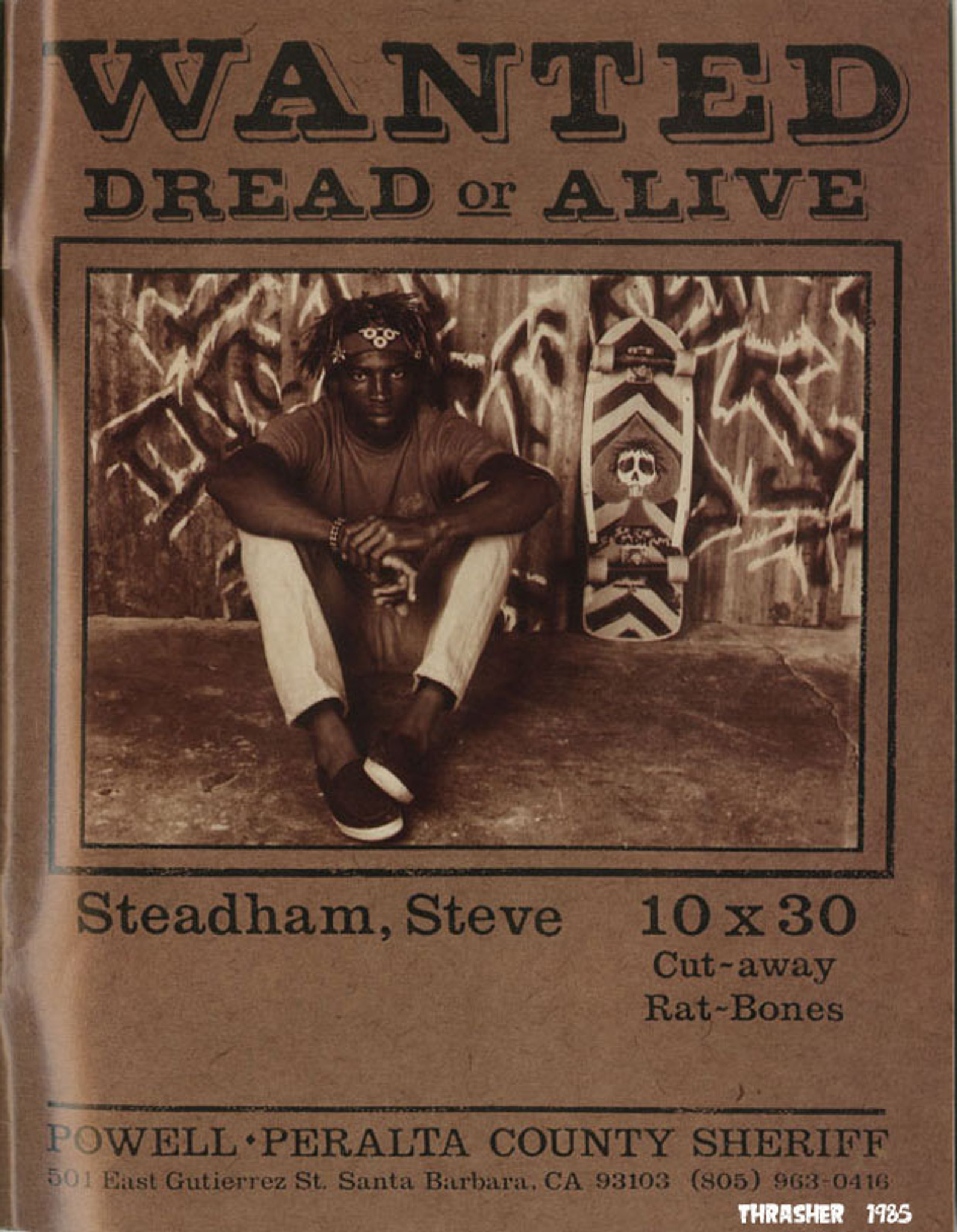 Powell Peralta Steadham Skull & Spade Skateboard Deck Purp/Aqua Reissue -  10 x 30.125 - Powell-Peralta®
