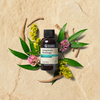 Nature's Sunshine Lymphatic Drainage Supplement (59ml). Cleavers. Red Clover Flower. Prickly Ash Bark. Red Root.