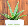 Nature's Sunshine Aloe Vera Juice (946ml)