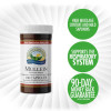 Nature's Sunshine Products Mullein (100 Capsules). Respiratory System Support.