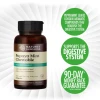 Nature's Sunshine Products Papaya Mint Chewable (70 Vegan Tablets). 90 Day Money Back Guarantee.