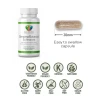 Body and Mind Genoma Nutritionals® GenomaBotanica™ Echinacea (90 Vegan Capsules). Allergies and Tablet Size.