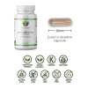 Body and Mind Genoma Nutritionals® GenomaBotanica™ Echinacea (90 Vegan Capsules). Allergies and Tablet Size.