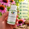 Body and Mind Genoma Nutritionals® GenomaBotanica™ Echinacea (90 Vegan Capsules). Bottle in hand.