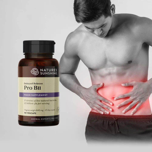 Nature's Sunshine Pro B11 Probiotics (90 Vegan Capsules). Lactobacillus Probiotics. Bifidobacterium Probiotics.