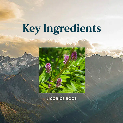 Nature's Sunshine Products Licorice Root (100 Capsules). Licorice Root.