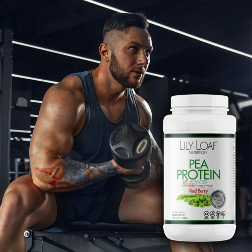 Lily & Loaf Nutrition Red Berry Flavour Vegan Pea Protein Powder (900g). For men and Women.