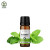 Lily & Loaf Peppermint Organic Essential Oil (10ml), bottle with peppermint leaves.