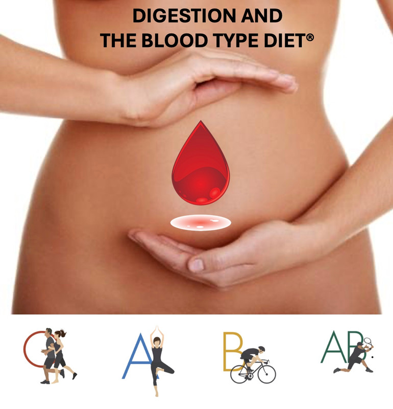 Digestion and The Blood Type Diet Digestion and The Blood Type Diet