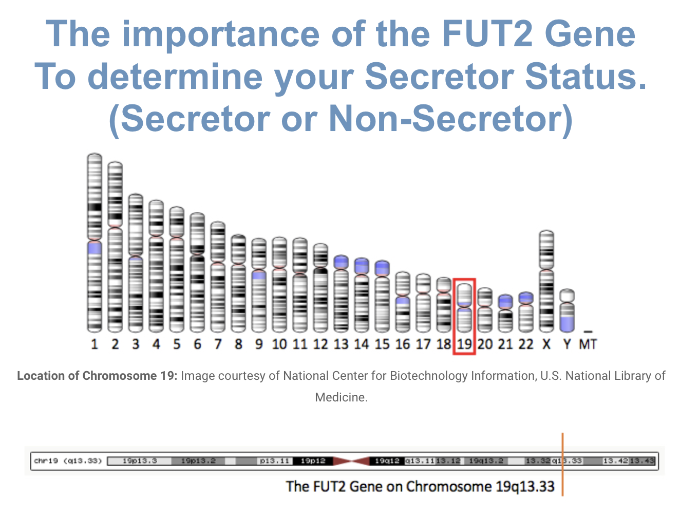 The Importance of your Secretor Status (Secretor or Non-secretor)