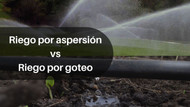 Riego por Aspersión vs. Riego por Goteo