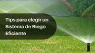 Tips para elegir un Sistema de Riego Eficiente