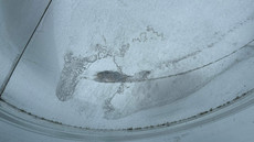 scratch and dent 8' round galvanized stock tank