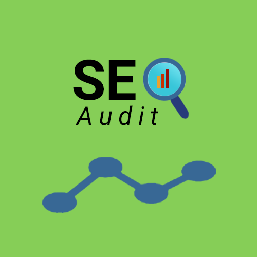 SEO Audit For 100 Hours