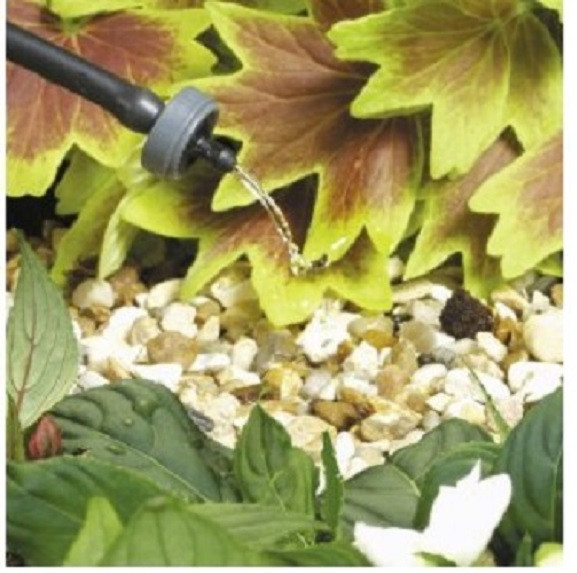 Netafim Woodpecker Dripper