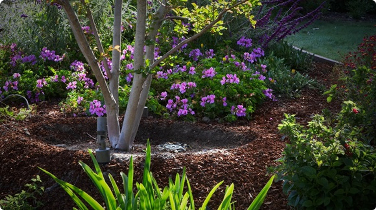 Hunter Root Zone Watering System