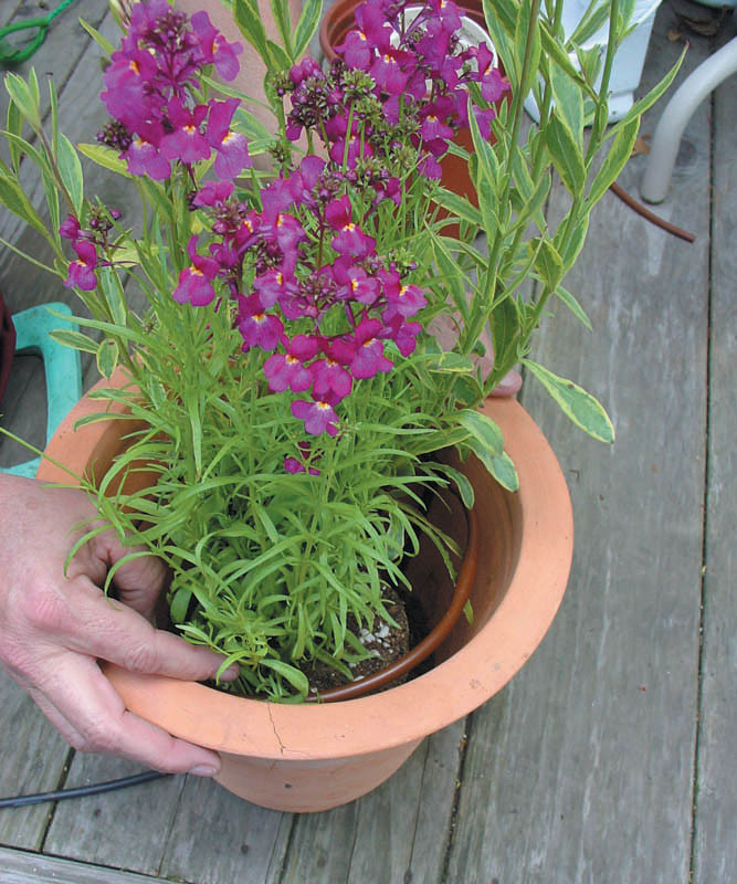 Rain Bird Micro Drip Line 6mm x 30cm 3lts/hr x 30mts