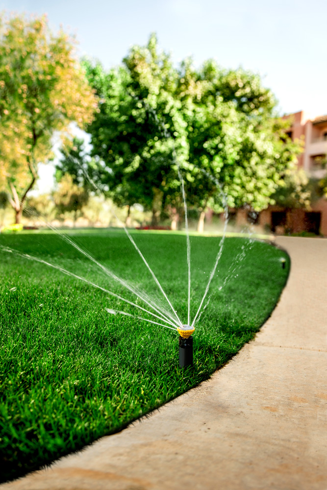Rain Bird 14RNFPRO Rotary Nozzle – 8′ To 14′ Spray, Full Circle – Lot Of 8 For Lawn Irrigation