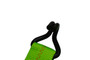 2" x 15' Ergo-Lash Wire Hook Ratchet Strap Assembly