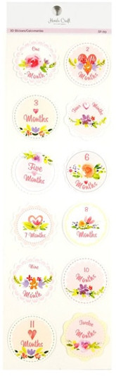 Baby Month Timeline Stickers, Flower Design Baby Month Tags Baby Month Timeline Stickers, Flower Design Baby Month Tags