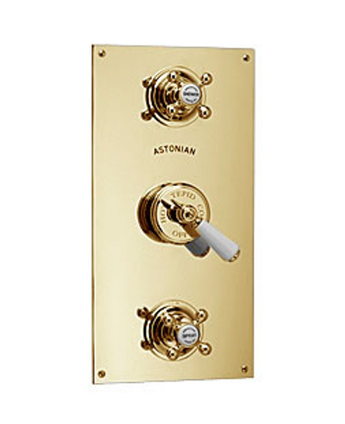 Tradition Brass thermostatic panel set with two wall valves polished brass