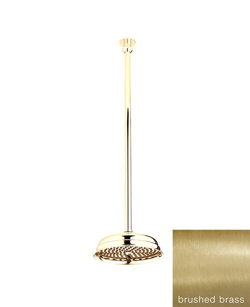 Astonian Original 190mm easyclean rose with adjustable drop tube brushed brass