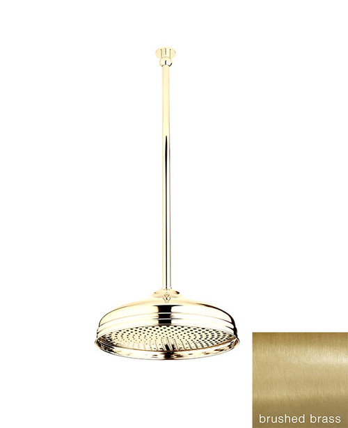 Astonian Original 300mm rose with adjustable drop tube brushed brass