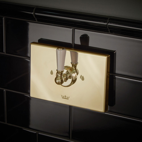 Thomas Crapper Lever Flush Plate - Polished Brass