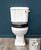 Carlton close coupled toilet suite with nickel lever