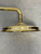 Signature Traditional slim easyclean 200mm shower rose polished brass