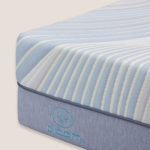 Bloom Sol Mattress