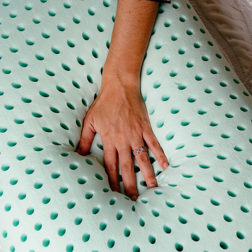 Blu Sleep Bio Aloe Pillow