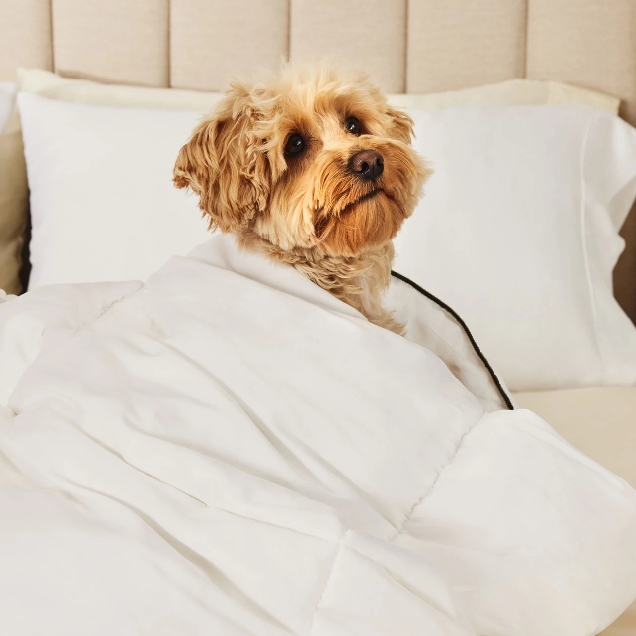 Endy Select Duvet
