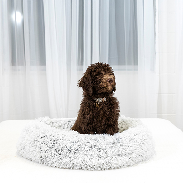 CERAMOPET Bed CERAMOPET Bed