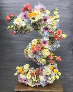 25-27" Any Single Number or Letter