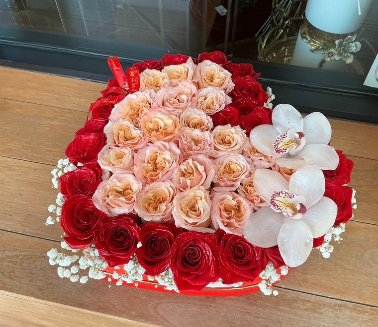 Queen’s Heart XL Bi-Color