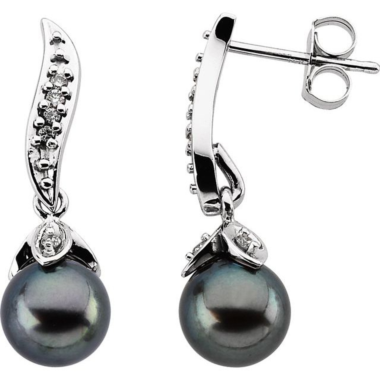 14KY Black Chinese Akoya Pearl Studs | Magpie Jewellery