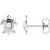 14K White Gold Turtle Earrings