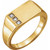 14K Yellow Gold 1/10 CTW Natural Diamond Signet Ring