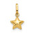14k Yellow Gold 3D Puffed Star Charm