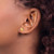 14k Yellow Gold Louisiana State Earrings