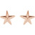14K Rose Gold Starfish Earrings