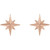 14K Rose Gold Star Earrings